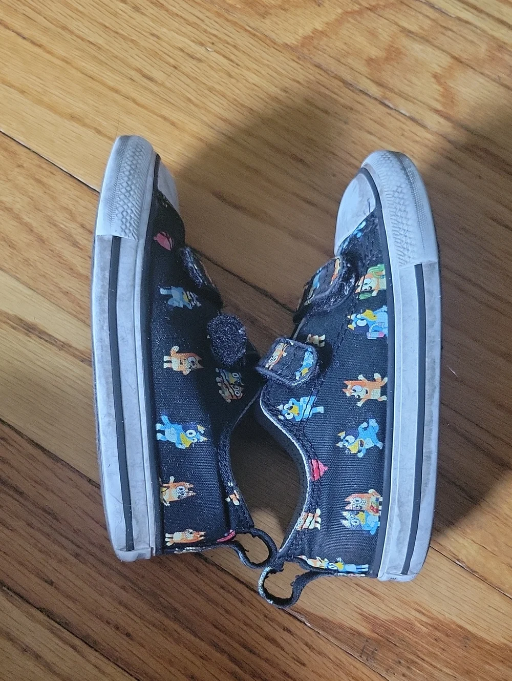 Converse bluey sneakers